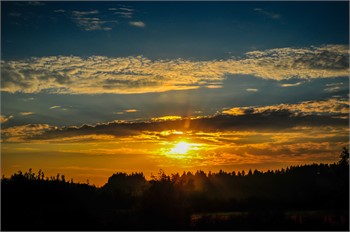 Nisqually Tribe History and Community