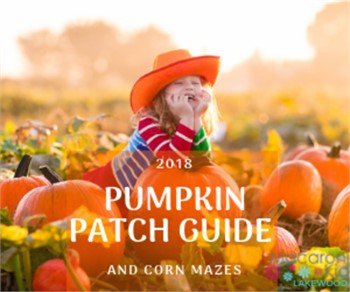 Fall Guide